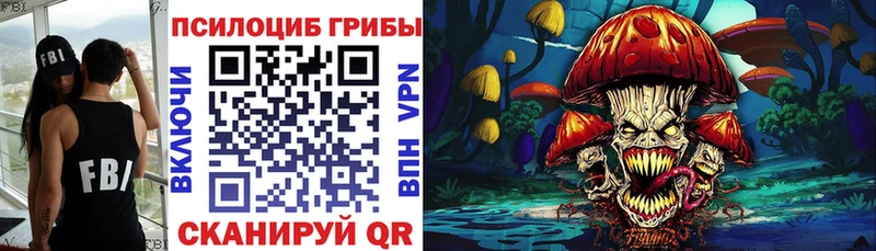 Галлюциногенные грибы мицелий  Купить где  Новочебоксарск 